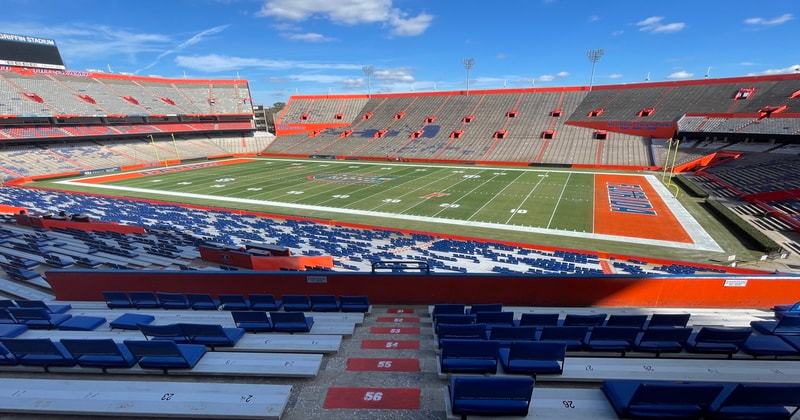 The Swamp