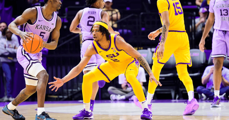 Mike Williams LSU