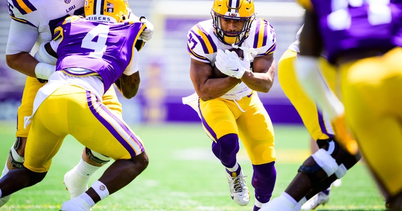 Josh Williams LSU Athletics