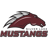 Silver Lake Mustangs