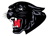 Saucon Valley Panthers