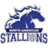 North American University Stallions