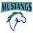 Denver Academy Mustangs