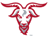 Worcester Polytechnic Institute Engineers