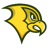 Felician Golden Falcons