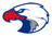 Springstead Eagles