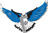 Fairfield Ludlowe Falcons