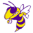 Blue Ridge Yellow Jackets
