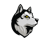 Hughson Avatar