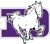 St. Francis DeSales Avatar
