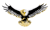 Dunlap Avatar