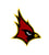 Cardinal Hayes Avatar