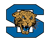 Mansfield Summit Avatar