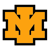 Iron Mountain Avatar