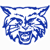 Dallastown Area Avatar