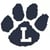 Loyola Avatar