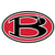 Bowdon Avatar