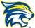 Donelson Christian Academy Avatar