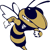 Thomas County Central Avatar