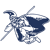 Kamehameha Avatar