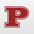 Palmetto Avatar