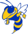 Southeast Bulloch Avatar