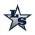 Lone Star Avatar