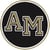 Archbishop Mitty Avatar