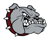 Bearden Avatar