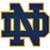 Notre Dame Avatar