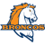 Brandeis Avatar
