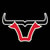 Omaha Bull Market Logo