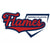 Flames Diamond Collective Logo