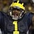 Braylon Edwards Avatar