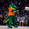South Carolina v Florida