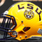 LSU, Brian Kelly add NFL coach Robert Steeples as new assistant on defense