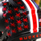 Ohio State Buckeyes by Matt Parker -- Lettermen Row –
