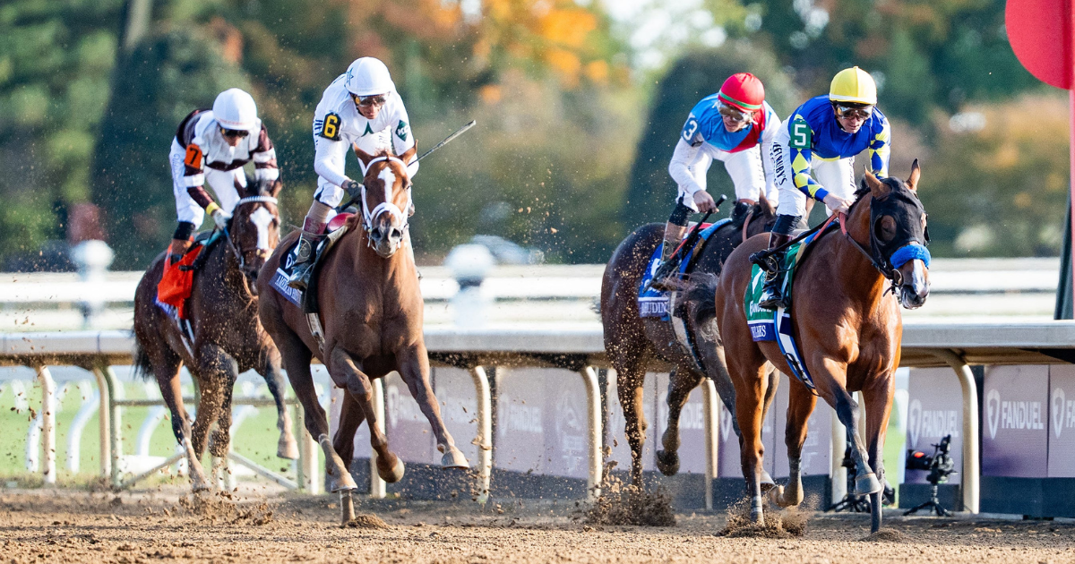 Coach Pope (the horse) comes up short in Breeders’ Cup Juvenile title
