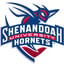 Shenandoah University