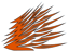 Springtown Springtown