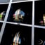 Purdue vs. Illinois kickoff time announced