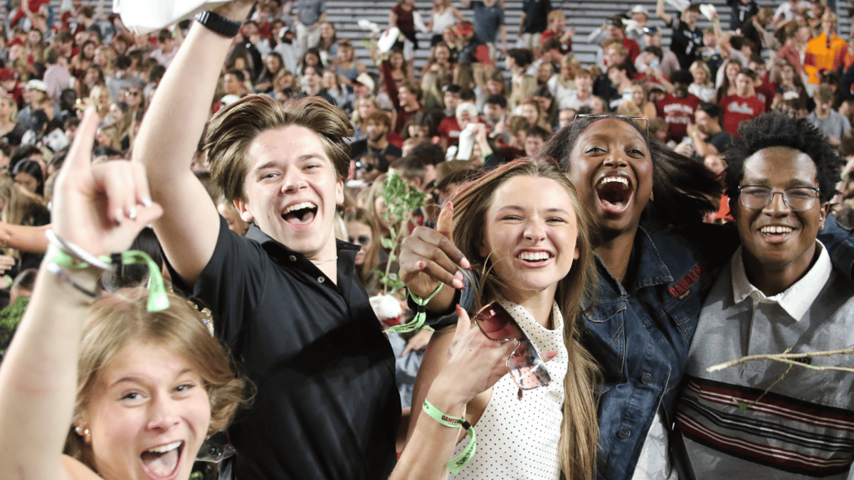 south carolina gamecocks fans