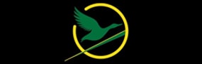Ducks Rising Logo