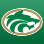 Buford Wolves Logo