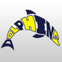 Ocean Lakes Football Schedule