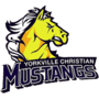 Yorkville Christian 2024 Girls Basketball Schedule