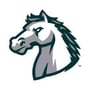 Forsyth Country Day School Boys Basketball Schedule