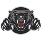 Izard County Cougars Logo