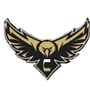 Springfield Central Golden Eagles Logo