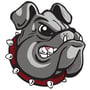 Springdale Bulldogs Logo